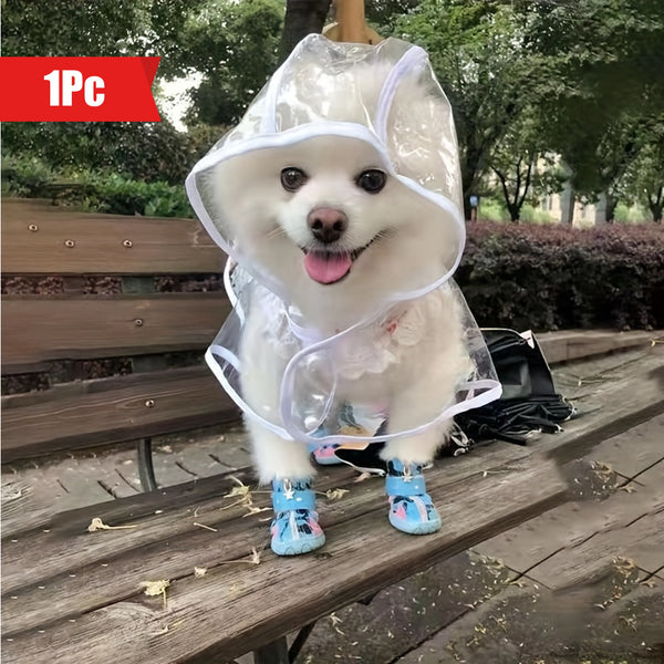 Small white dog in transparent raincoat and waterproof blue shoes – outdoor pet outfit
